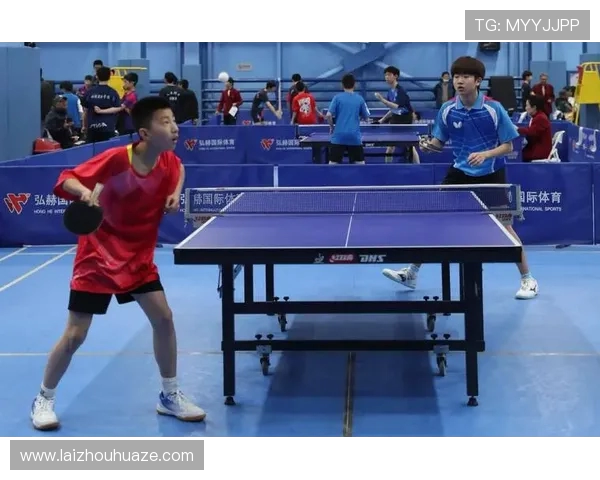 乒乓球运动的魅力与发展：从竞技体育到全民健身的全面探析