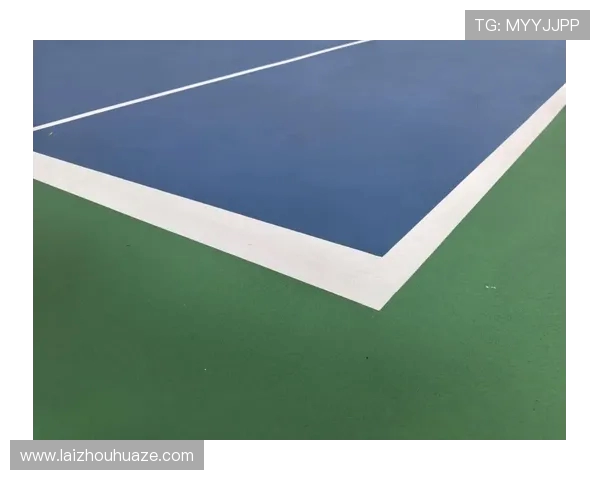 网球精神引领健康生活探秘现代竞技与身心平衡之美