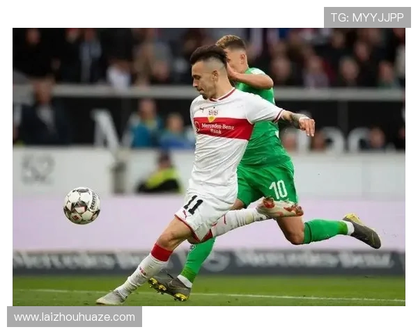 墨尔本骑士与休姆历史交锋记录分析及战绩回顾